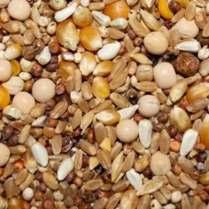 50# PIGEON SELECT 12% POPCORN