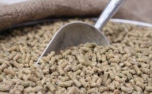 50LB FREEDOM LAYER PELLETS GMO & SOY FREE
