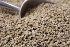 50LB FREEDOM LAYER CRUMBLES GMO & SOY FREE