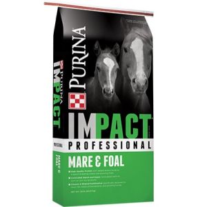 50# IMPACT PROF MARE & FOAL