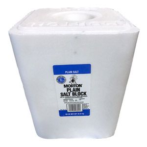 50LB PLAIN SALT BLOCK