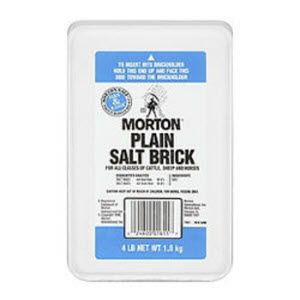 4LB PLAIN SALT BRICK