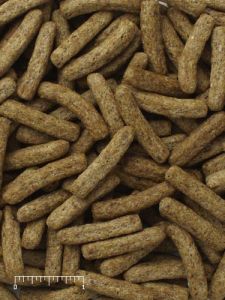 25LB MAZURI LEAFEATER MINI BISCUITS 5672