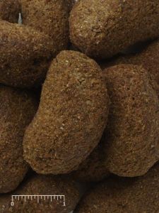 25LB MAZURI PRIMATE MAINTENANCE BISCUITS 5MA2