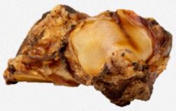 BUTCHER'S PRIME BEEF KNEE CAP
