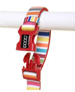 Doog Clip-it Red Striped Neoprene Lead