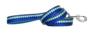Doog Small Teal Scallop Neoprene Lead
