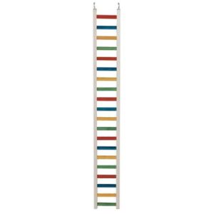 CAITEC 24" PAR LADDER
