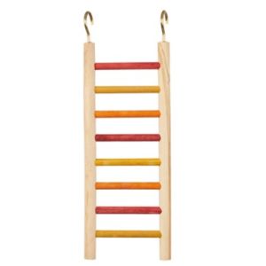 CAITEC 10" KEET LADDER