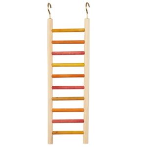 CAITEC 12" KEET LADDER