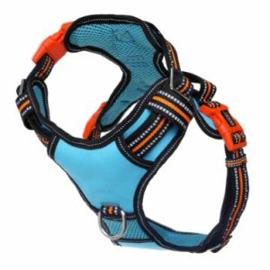 DOOG SM TEAL REF NEOTECH HARN