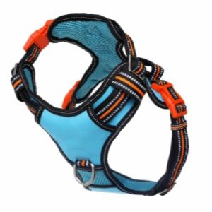 DOOG MD TEAL REF NEOTECH HARN