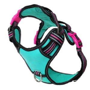 DOOG SM BLK/PNK REF NEOTECH HARN