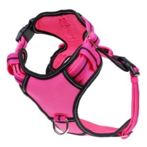 DOOG SM PNK NEON NEOTECH HARN