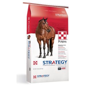 50# STRATEGY GX (WHT)