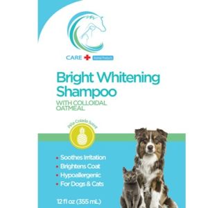 12OZ CARE PINA BRIGHT WHT SHAM