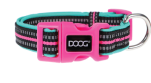 DOOG XS TEAL REFL NEO CLR