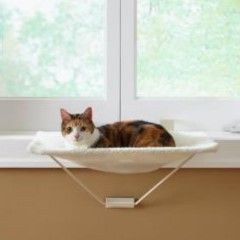 Prevue TabbyNapper®