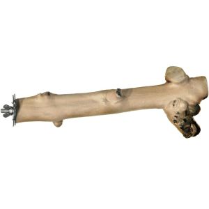 Prevue 9" Branch Coffea Wood Bird Perch