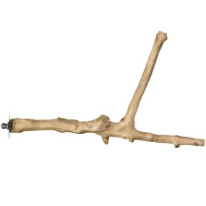 Prevue 18" Y-Branch Coffea Wood Bird Perch