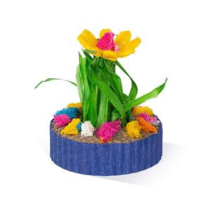 Prevue Succulent MiniGarden