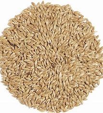50LB RECLEANED CANARY SEED