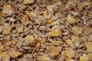 50LB DRY COB 5966