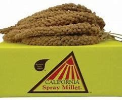 3LB SPRAY MILLET