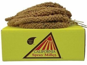 25LB SPRAY MILLET
