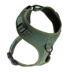 DOOG MEDIUM GREEN NEOSPORT HARNESS