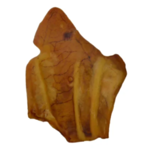 100PK NATURAL PIG EARS
