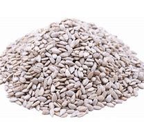 20LB KLEEN-N-FRESH SUNFLOWER CHIPS