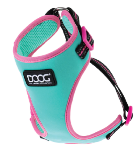 DOOG XS TEAL REFL NEOFLEX HARN