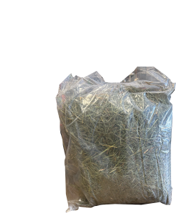 BAGGED ORCHARD GRASS HAY