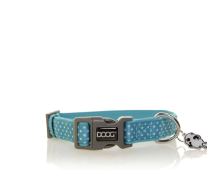 DOOG SM TEAL REFL NEO CLR