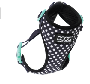 DOOG LG BLK DOTS NEOFLEX HARN
