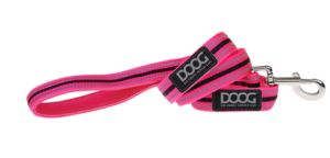 DOOG REG PNK NEON NEO LD