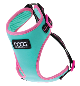 DOOG XL TEAL REFL NEOFLEX HARN