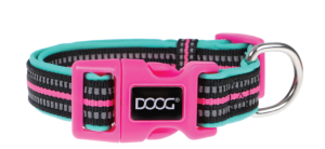 DOOG LG TEAL REFL NEO CLR
